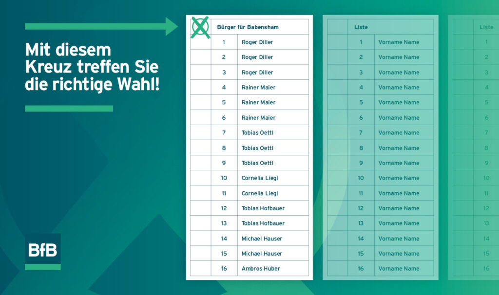 So funktioniert die Wahl.
